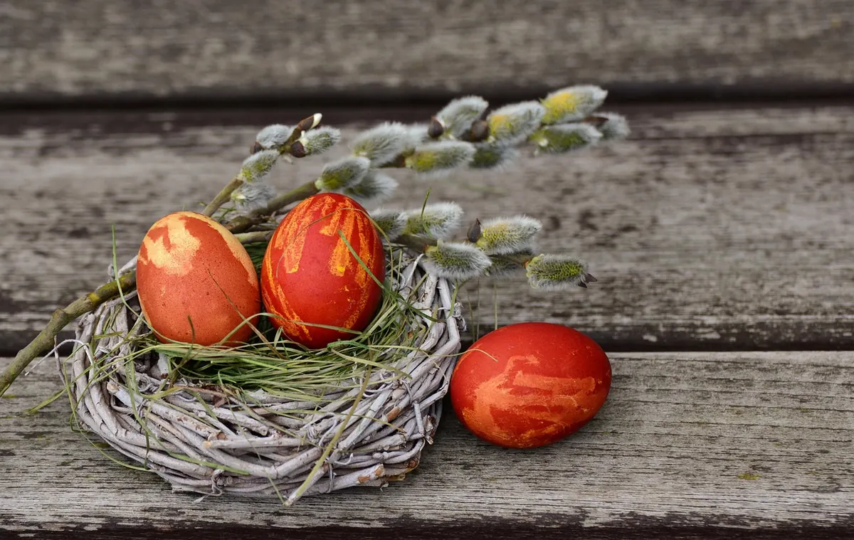 Willow Weaving for Beginners: 5 Simple Projects from Garden Cuttings